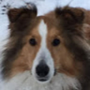 Meet your Posher, Alexandra